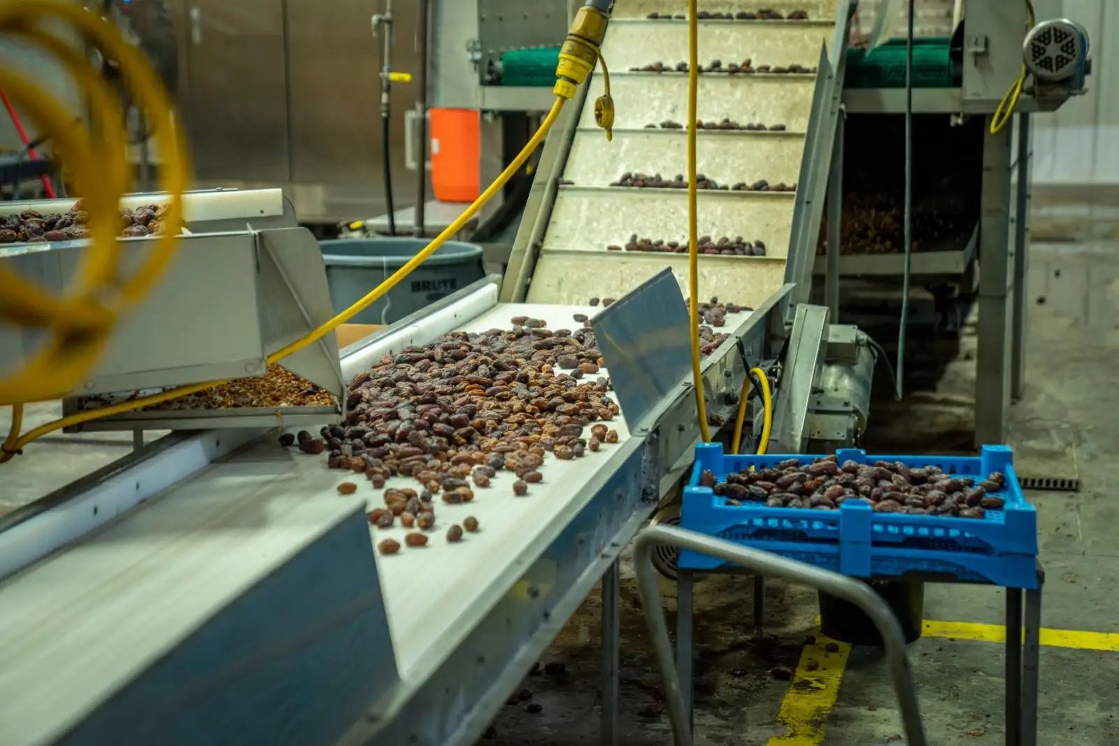 昆明青少年篮球培训课程体系设计要点与训练方案解析