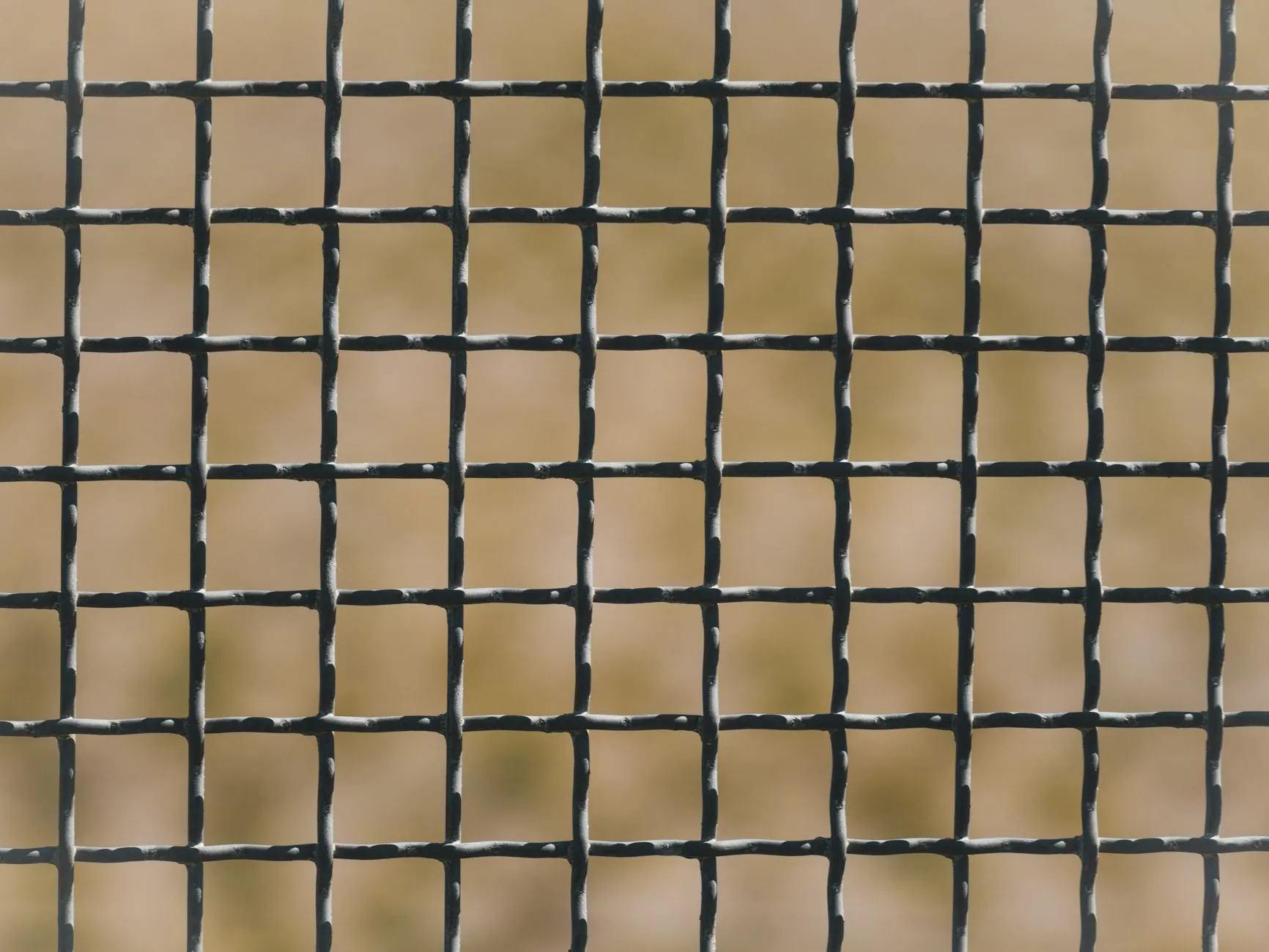 少儿体适能训练方案设计：基于科学评估的个性化运动课程解析