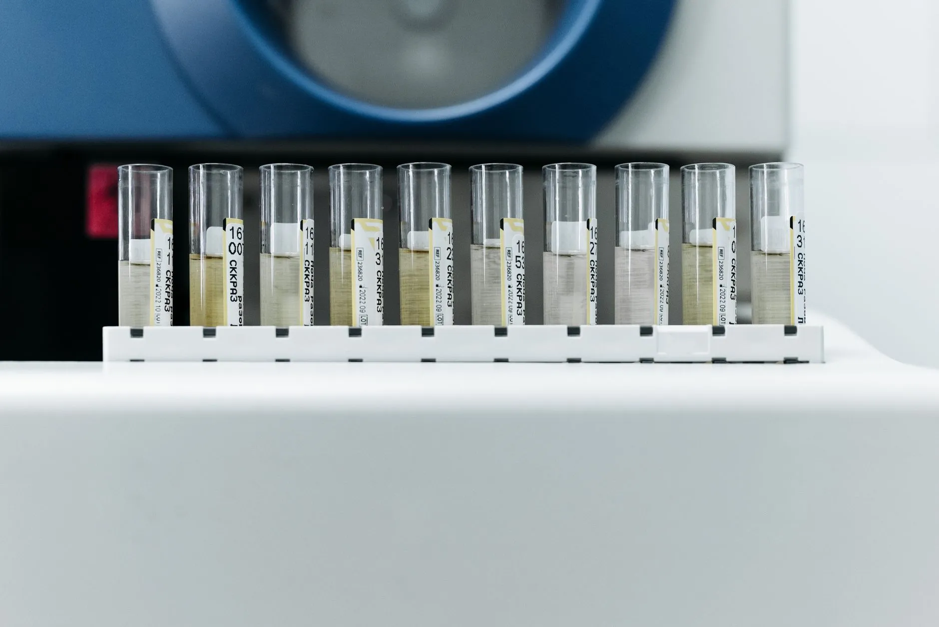 昆明青少年篮球培训课程体系与鹏程体育科学训练方法解析