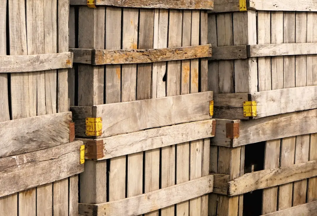 昆明青少年篮球培训课程体系与鹏程体育科学训练方法解析