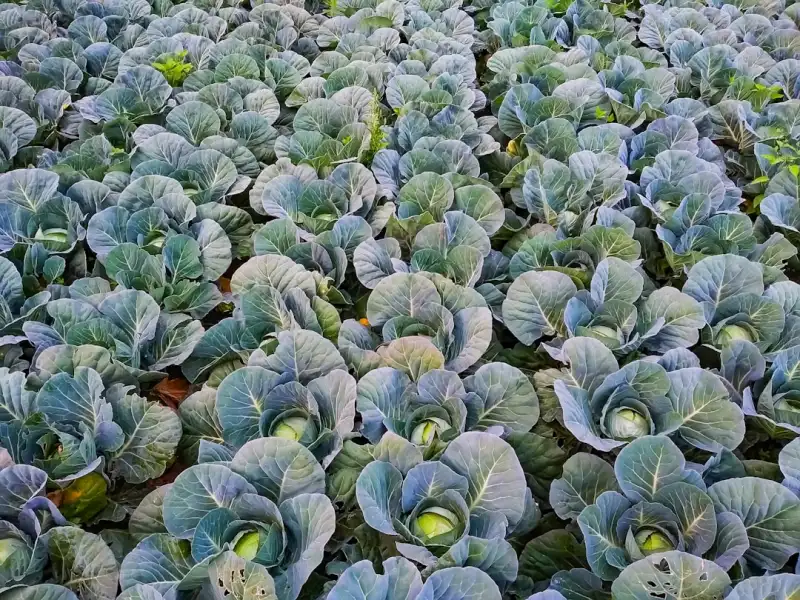 昆明青少年篮球训练中运动损伤预防与康复方案解析