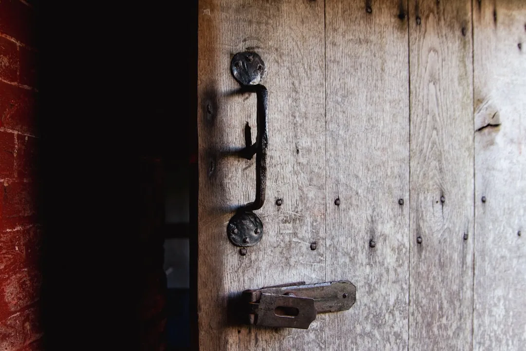 昆明青少年篮球培训课程体系与少儿体适能训练方案对比分析