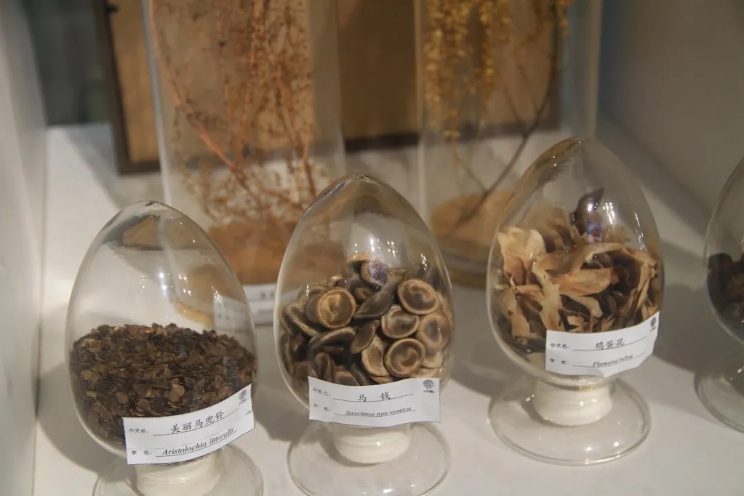 昆明青少年篮球培训课程体系设计要点与教学实践分析