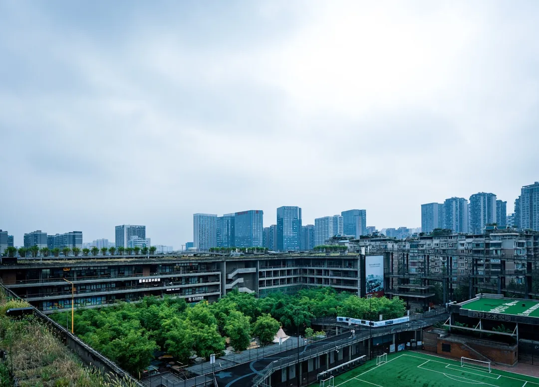 少儿体适能训练与篮球培训课程组合方案设计要点